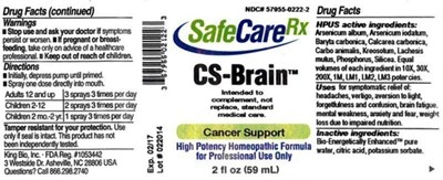 Image Description (Cs Brain)